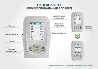 СКЭНАР-1-НТ (исполнение 01)  в Бору купить Скэнар официальный сайт - denasvertebra.ru 