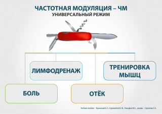 СКЭНАР-1-НТ (исполнение 02.2) Скэнар Оптима в Бору купить Скэнар официальный сайт - denasvertebra.ru 