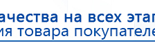 Пояс электрод купить в Бору, Электроды Меркурий купить в Бору, Скэнар официальный сайт - denasvertebra.ru